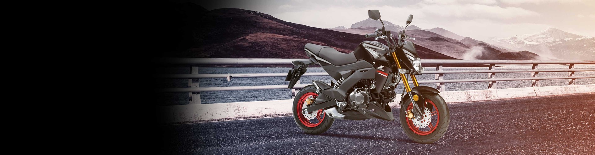 Z125 PRO BANNER